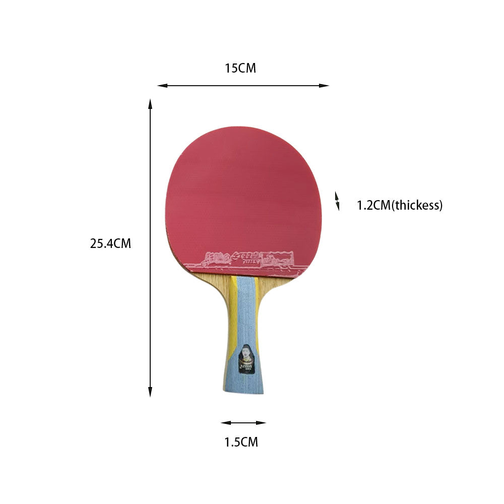 DHS Special 2*DHS6002 Pair 6 Star Table Tennis Bat Racket Ping Pong Free Bat Case