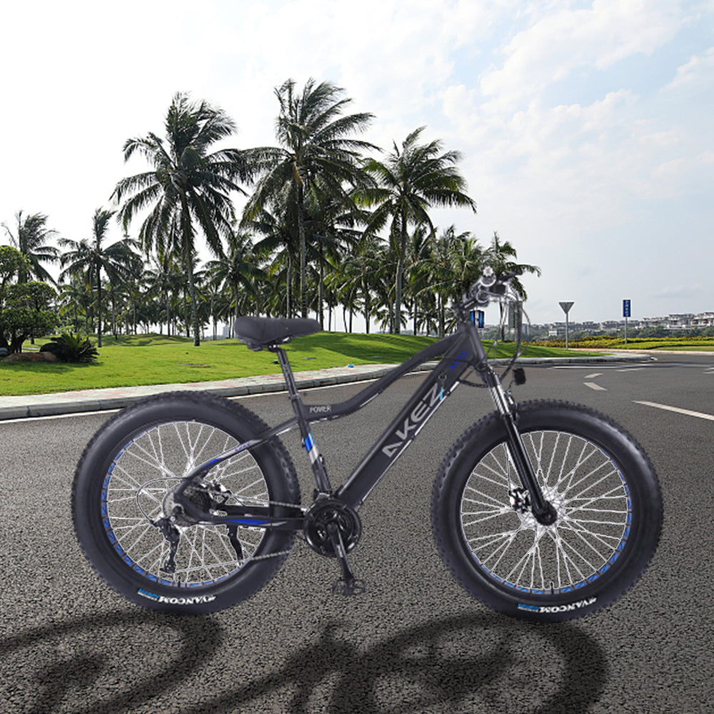 VOLTUS Cruiser Snow Motorized Bicycle Beach Electric Bike eBike 26-inch Battery