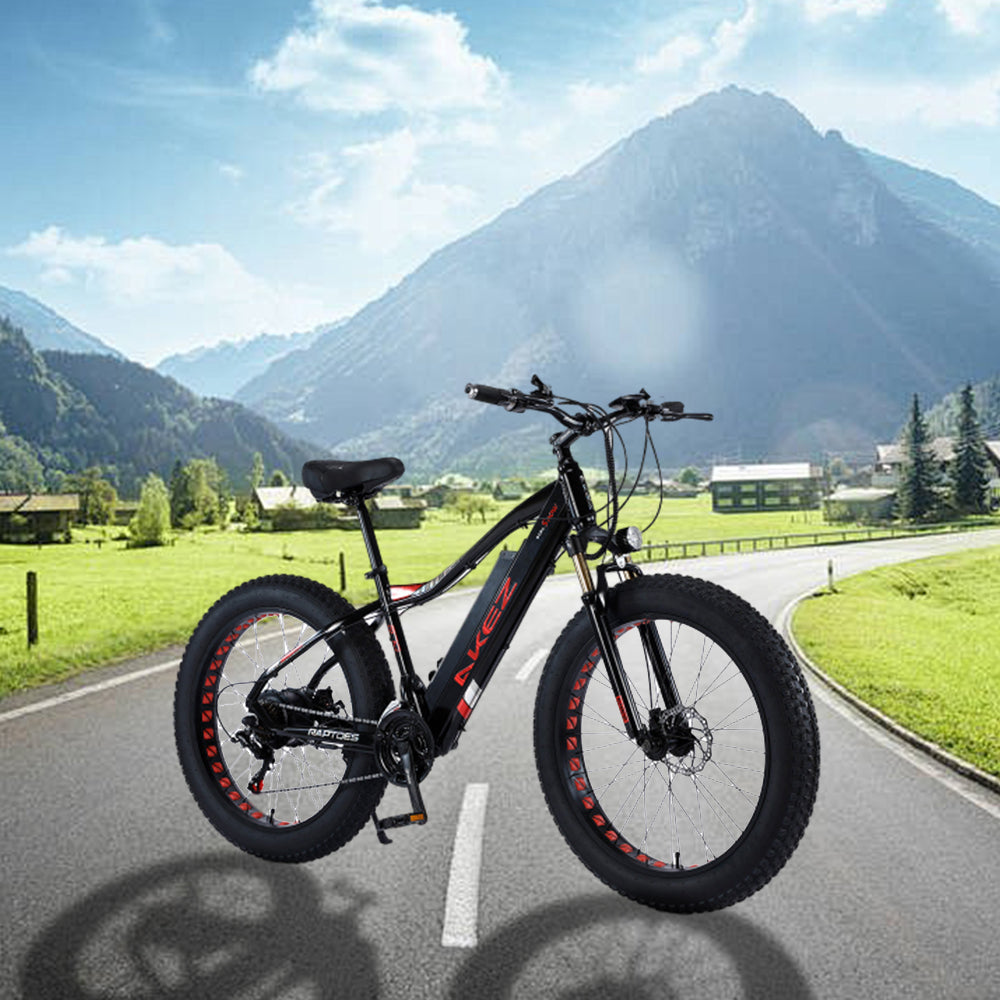 VOLTUS 750W 48V ML Snow Bicycle 26-inch Beach Electric Bike Motorized eBike Battery