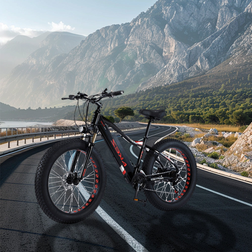 VOLTUS 750W 48V ML Snow Bicycle 26-inch Beach Electric Bike Motorized eBike Battery