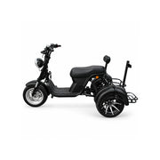 AKEZ 2000W 10 Inch Three-Wheel Electric Cruiser - Wide Tyres with Backrest for Golf Courses & Private Estates - Black
