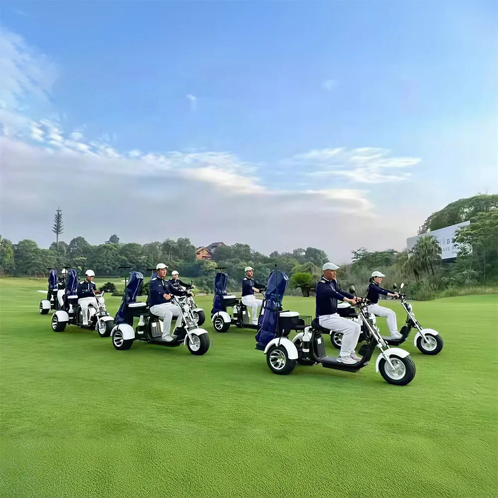 AKEZ 2000W 10 Inch Three-Wheel Electric Cruiser - Wide Tyres with Backrest for Golf Courses & Private Estates - White