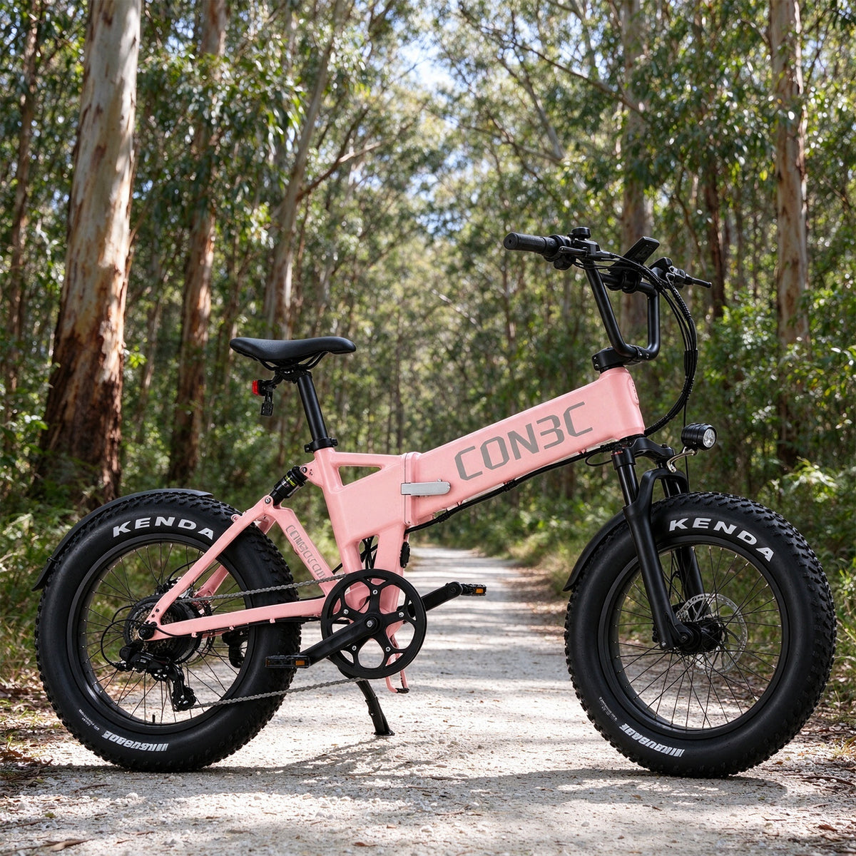 AKEZ 20 Inch Folding Electric Bike 250W Motor Fat Tyres Dual Suspension for Urban Commuting Leisure Riding Short Trips