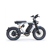 AKEZ 20 Inch Fat Tyre Electric Bike 250W Motor 48V 20Ah Battery Dual Suspension for Urban Commuting Long Distance Riding
