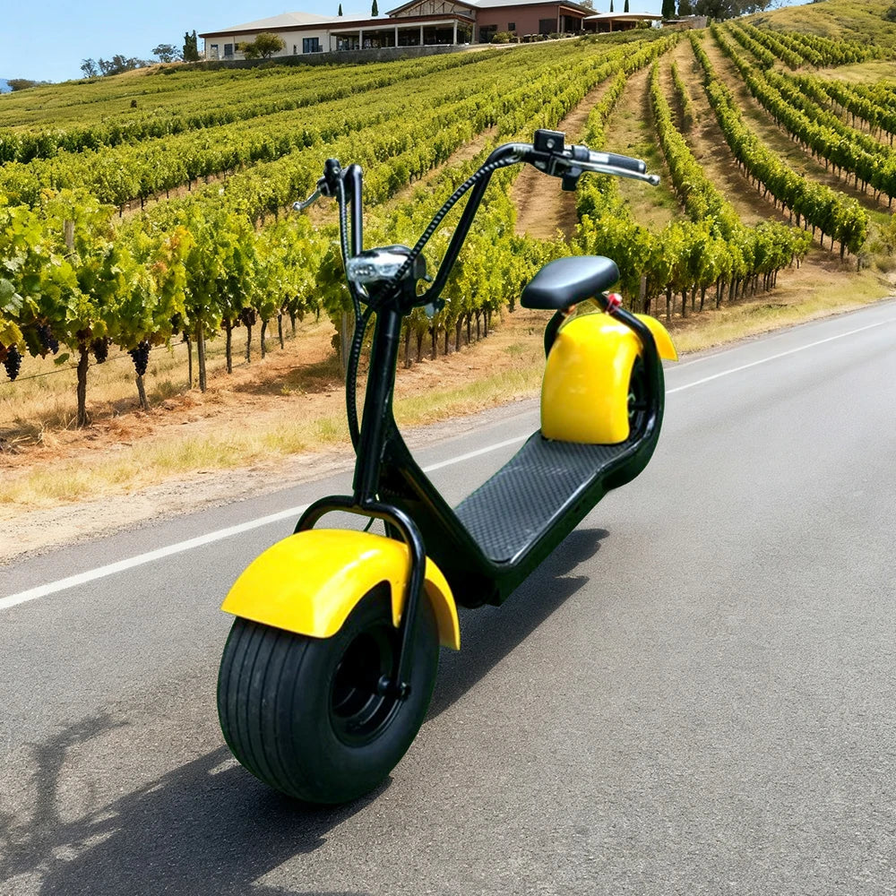 AKEZ Harley Electric Bike 1500W/2000W Brushless Motor, Lithium Battery, 8-inch Vacuum Tyres, Hydraulic Brake, LED Headlight Cruise at 25km/h – Unlock More Power (Details Inside)*