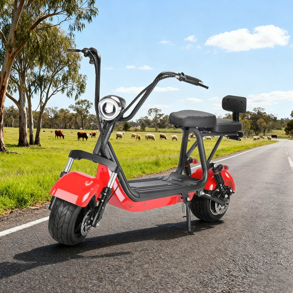 AKEZ Harley Electric Bike 48V 800W Brushless Motor, Removable Lithium Battery, 6-inch Tyres, Dual Suspension Cruise at 25km/h – Unlock More Power (Details Inside)*