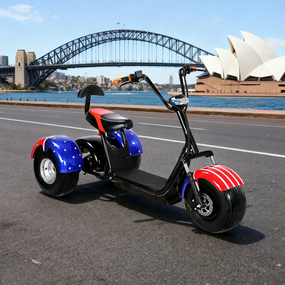 AKEZ Harley Electric Bike 60V 1500/2000W Brushless Motor, Lithium Battery, 8-inch Vacuum Tyres, Comfortable Seat with Backrest Cruise at 25km/h ¨C Unlock More Power (Details Inside)*