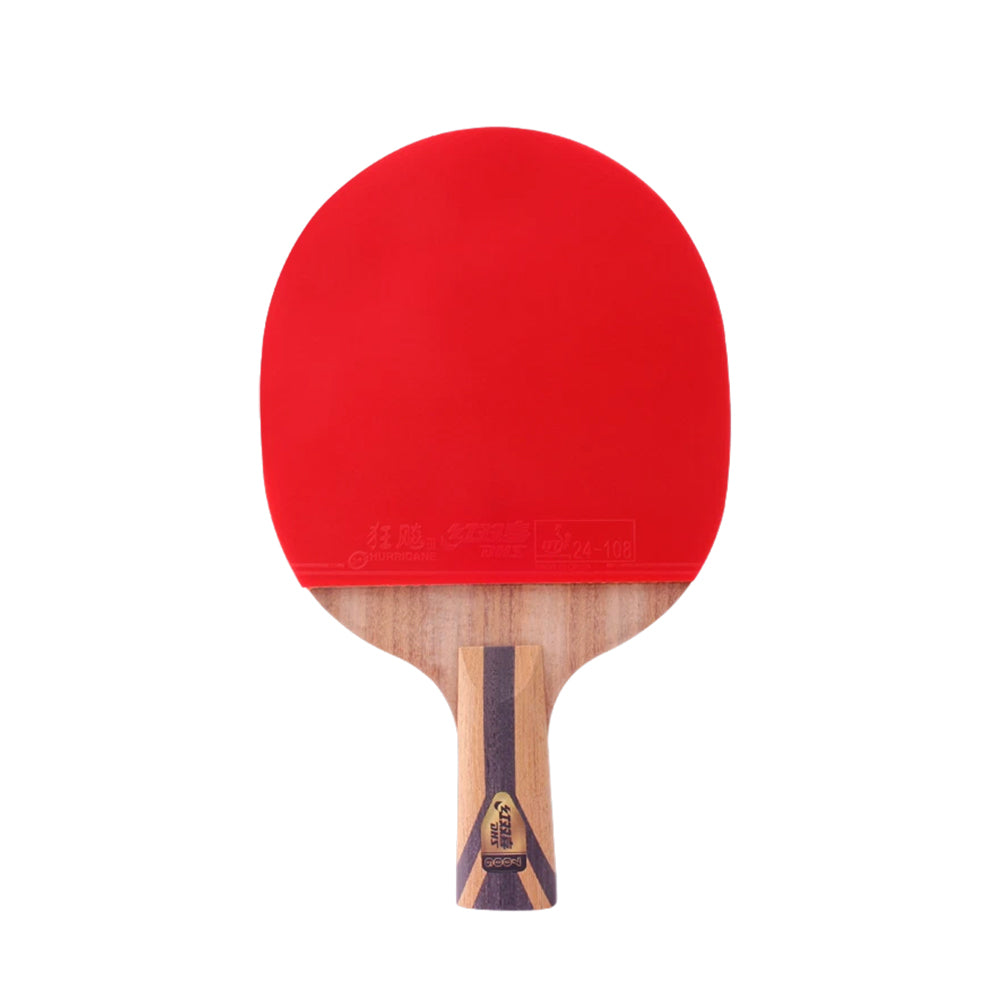 DHS 7-Star Ping Pong Racket Paddle/ Table Tennis Racket with Balls 7002/7006