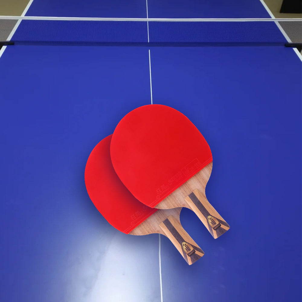 DHS 7-Star Ping Pong Racket Paddle/ Table Tennis Racket with Balls 7002/7006