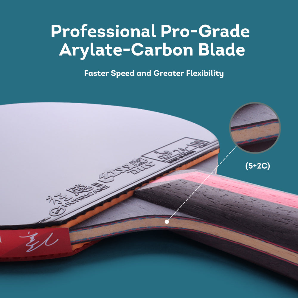 DHS 8-Star Ping Pong Racket Paddle/ Table Tennis Racket with Balls 8002/8006