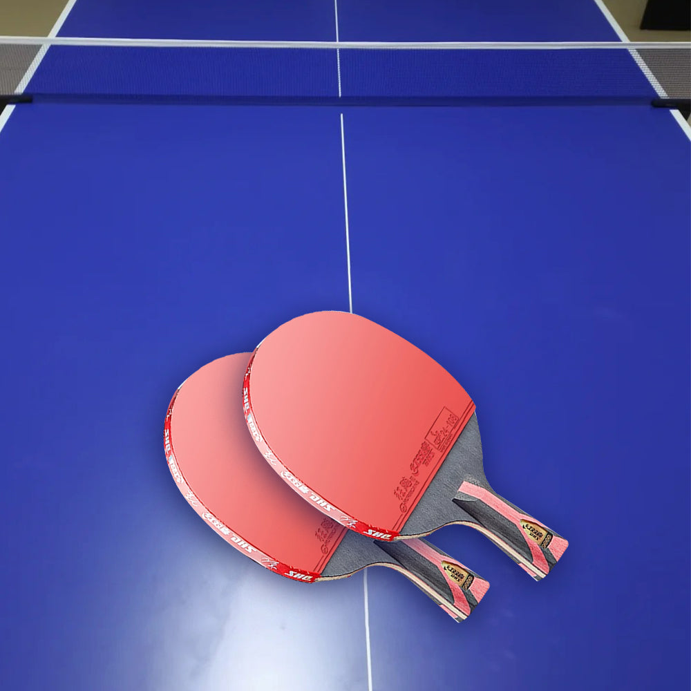 DHS 8-Star Ping Pong Racket Paddle/ Table Tennis Racket with Balls 8002/8006