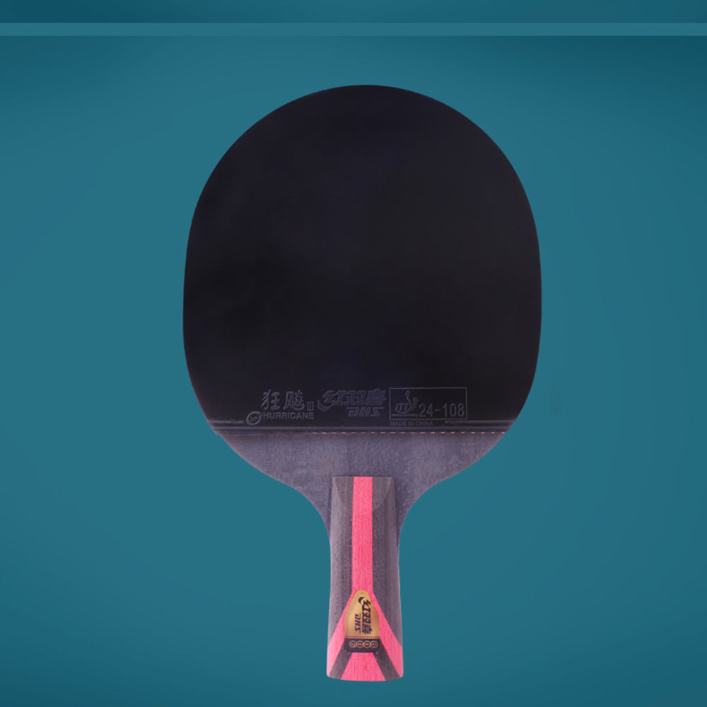 DHS 8-Star Ping Pong Racket Paddle/ Table Tennis Racket with Balls 8002/8006