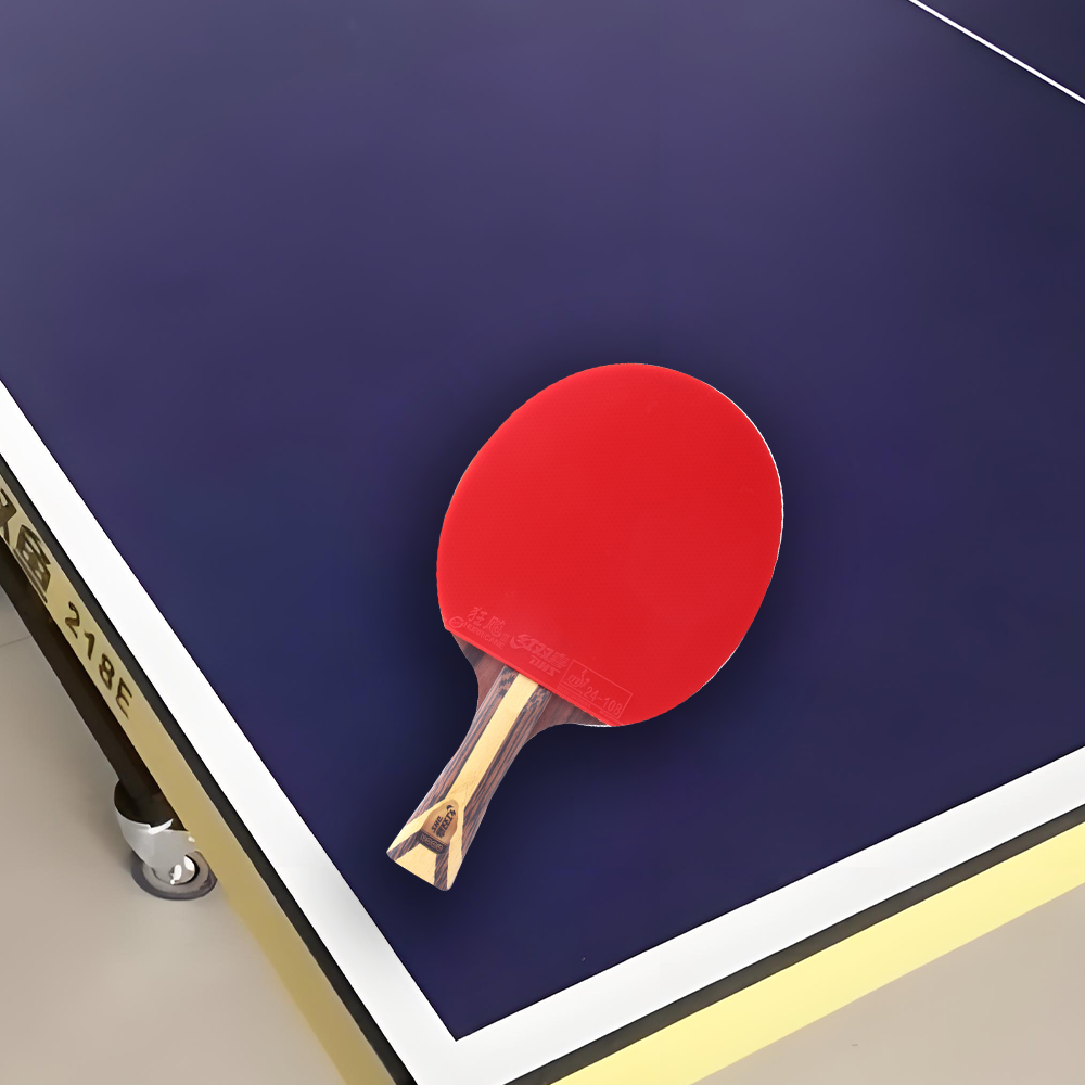 DHS 9-Star Ping Pong Racket Paddle/ Table Tennis Racket with Balls Shakehand Grip Or Penhold Grip
