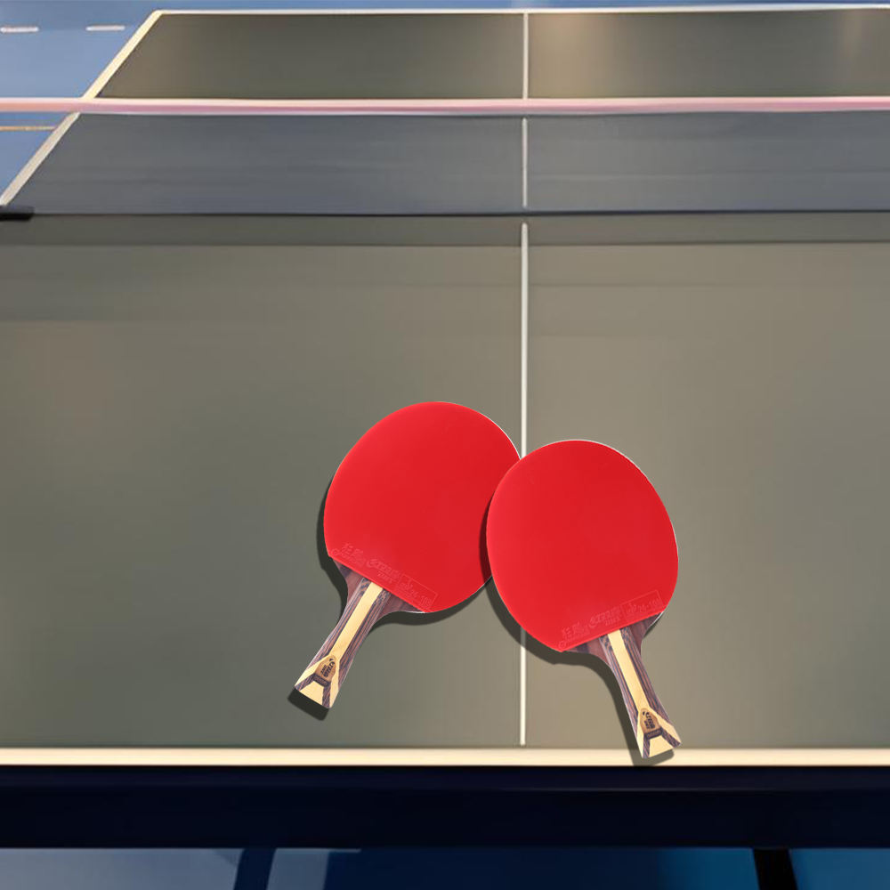 DHS 9-Star Ping Pong Racket Paddle/ Table Tennis Racket with Balls Shakehand Grip Or Penhold Grip
