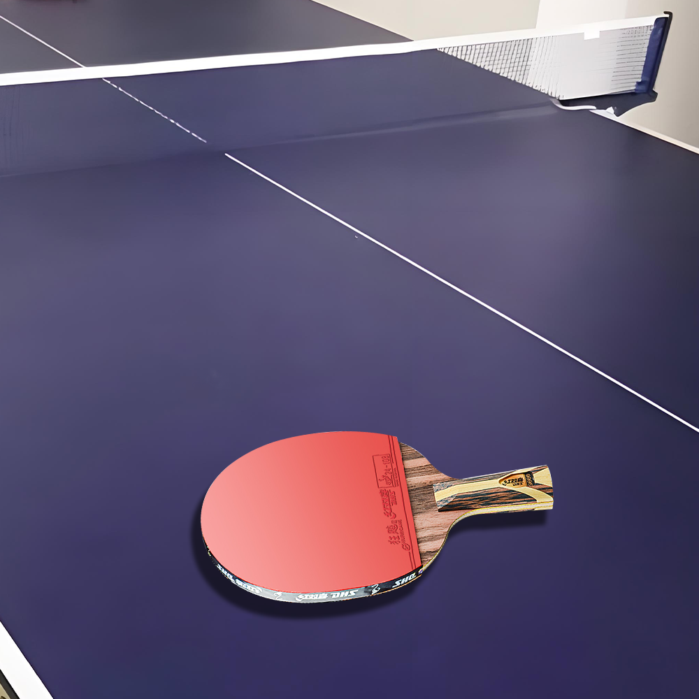 DHS 9-Star Ping Pong Racket Paddle/ Table Tennis Racket with Balls Shakehand Grip Or Penhold Grip
