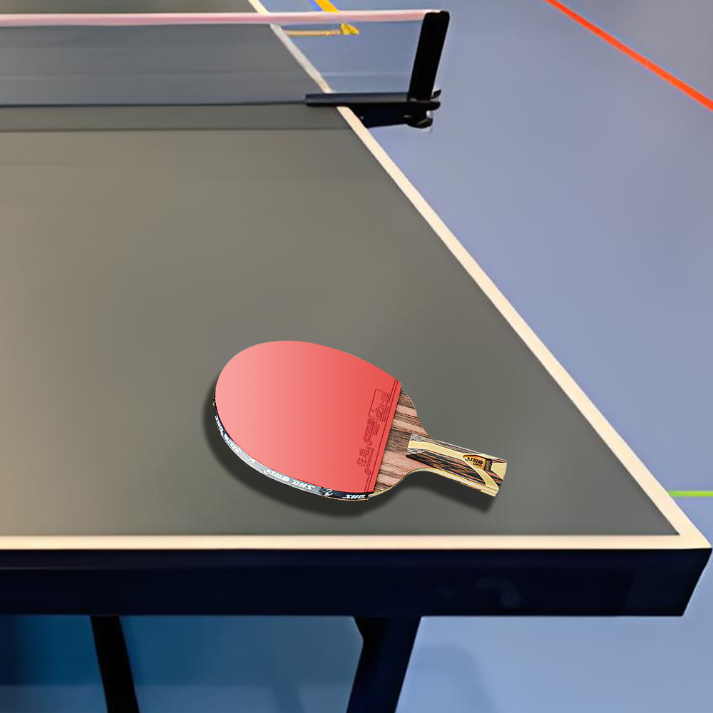 DHS 9-Star Ping Pong Racket Paddle/ Table Tennis Racket with Balls Shakehand Grip Or Penhold Grip