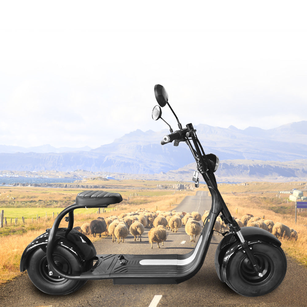 1500W SMD201 Electric Scooter Big Wheel Motorised Adult Riding