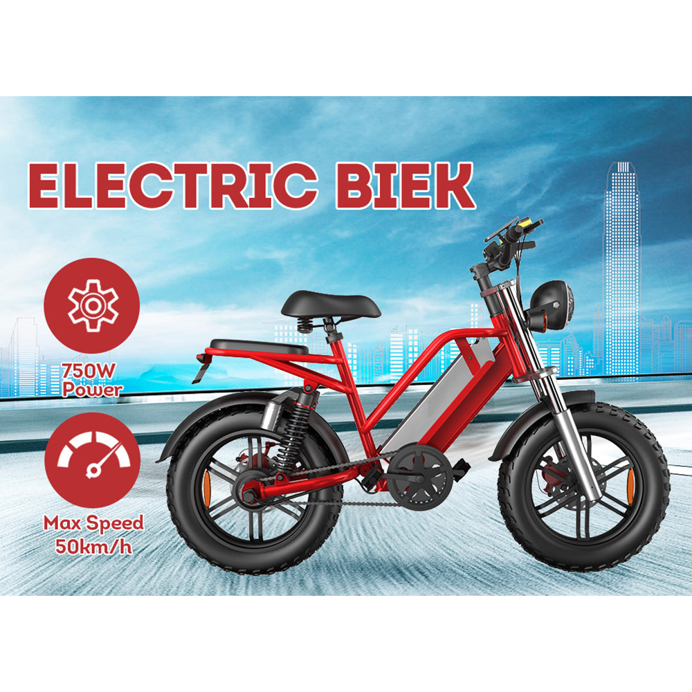 D70 48V 750W 20Ah 20*4 Inches Electric Bike Rekote Alarm