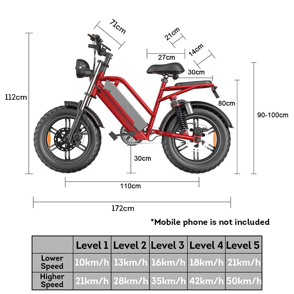 D70 48V 750W 20Ah 20*4 Inches Electric Bike Rekote Alarm