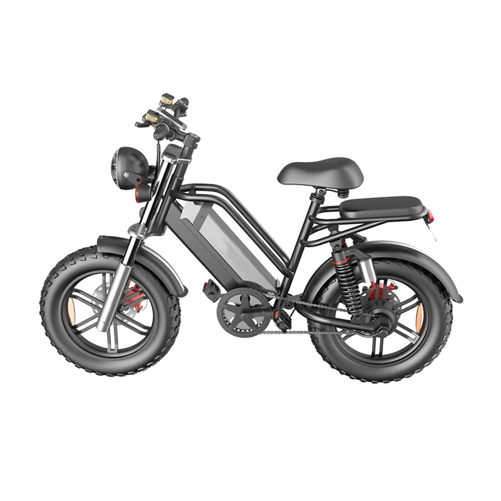 D70 48V 750W 20Ah 20*4 Inches Electric Bike Rekote Alarm