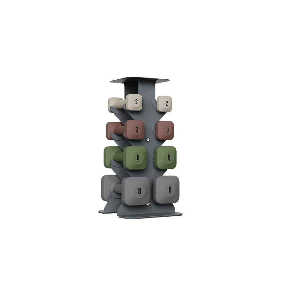 FITPRO Dumbbell Rack Set with 4 Pairs of Dumbbells and Vertical Storage for Small-Space Home Fitness - Grey&Rainbow