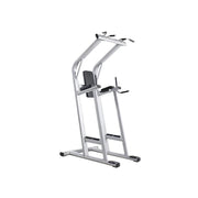 FITPRO Multi-Function Pull-Up Training Station Heavy Duty Steel Power Tower with Dip Bars Core Workout for Home Gym Garage Fitness - Silver&Black