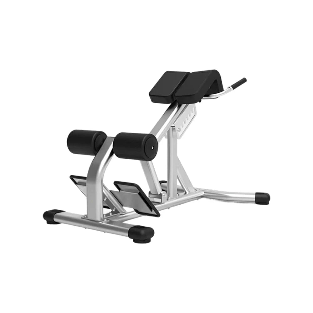 FITPRO Stainless Steel Commercial-Grade Roman Chair Adjustable Height Heavy-Duty Steel 100x50mm Core & Lower Back Strength Home Gym Garage - Silver