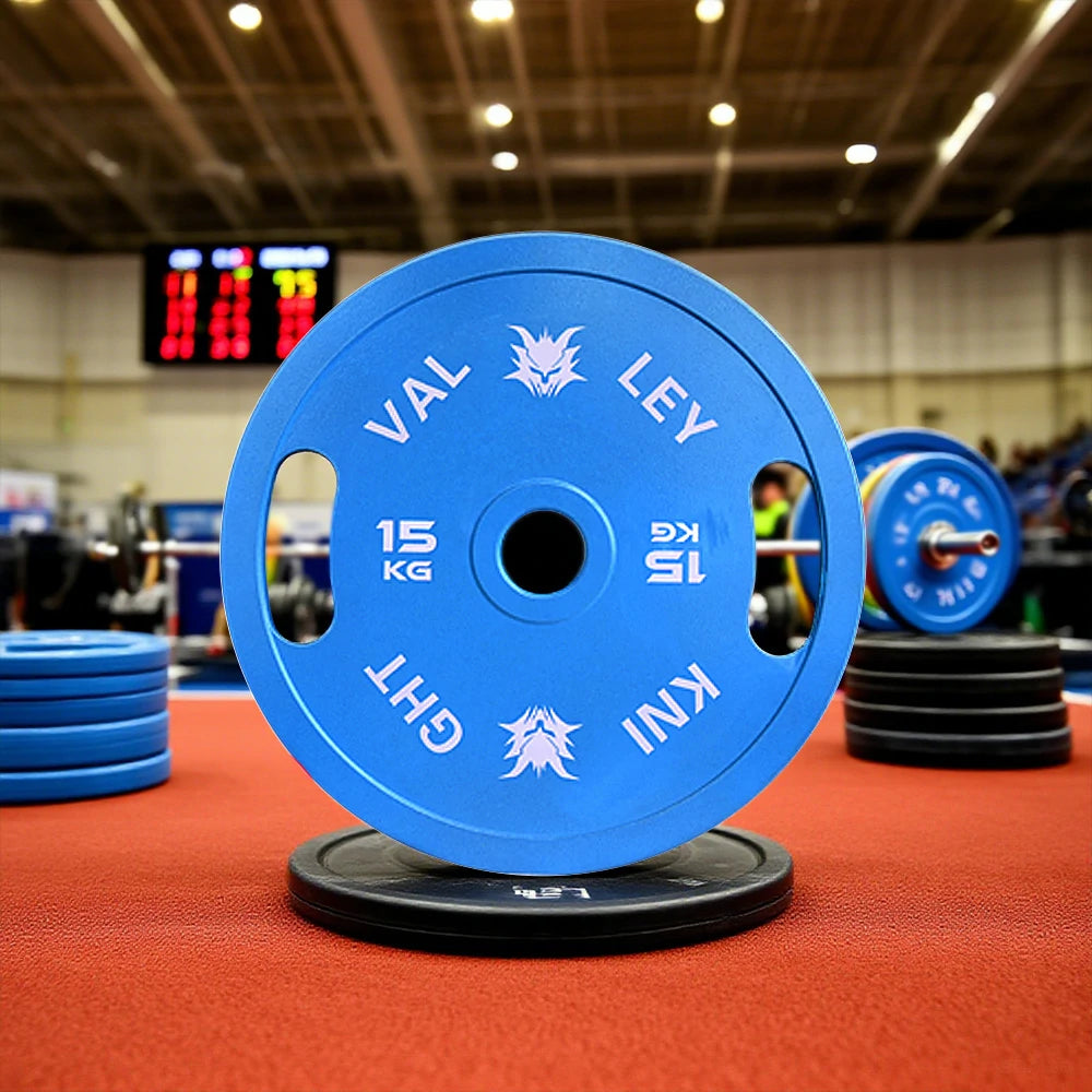 FITPRO Dual-Finish Weight Plate - 15kg, Chrome & Matte Texture, Ergonomic Grip Handles - Blue