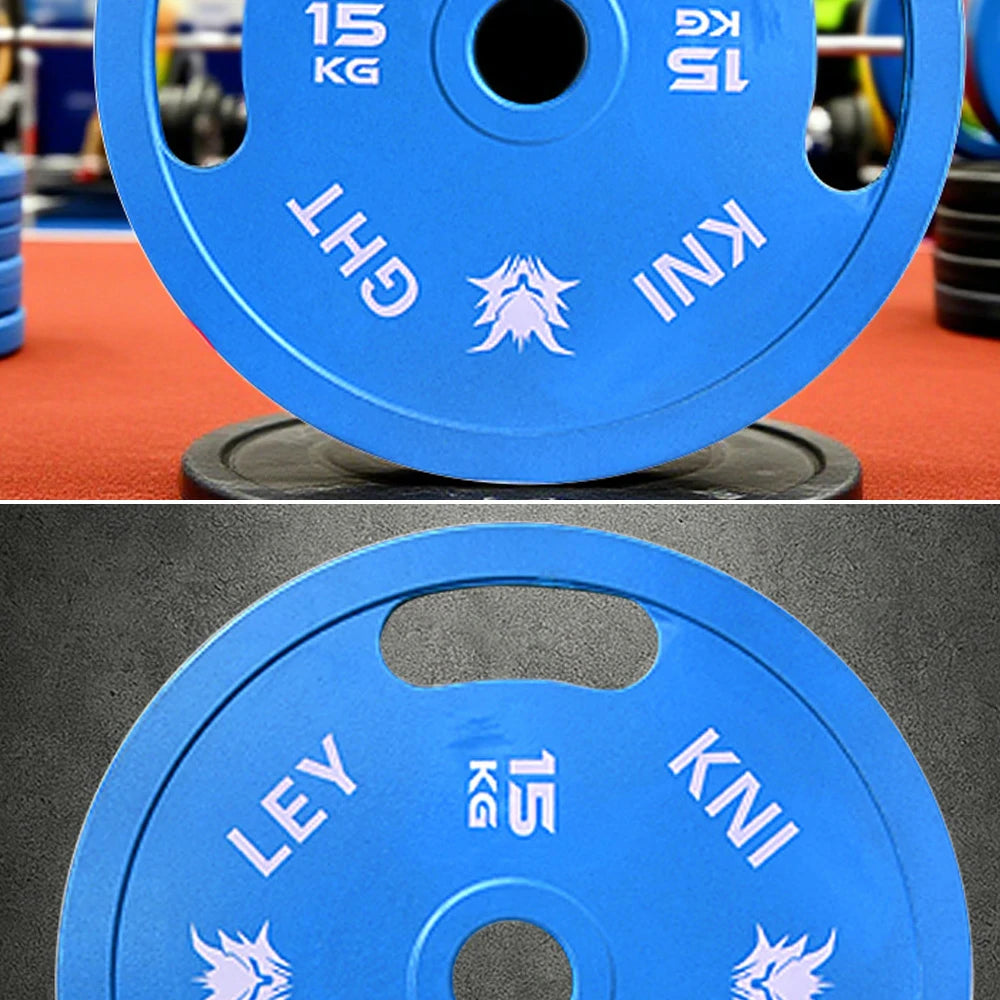 FITPRO Dual-Finish Weight Plate - 15kg, Chrome & Matte Texture, Ergonomic Grip Handles - Blue