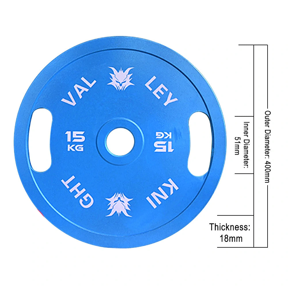 FITPRO Dual-Finish Weight Plate - 15kg, Chrome & Matte Texture, Ergonomic Grip Handles - Blue