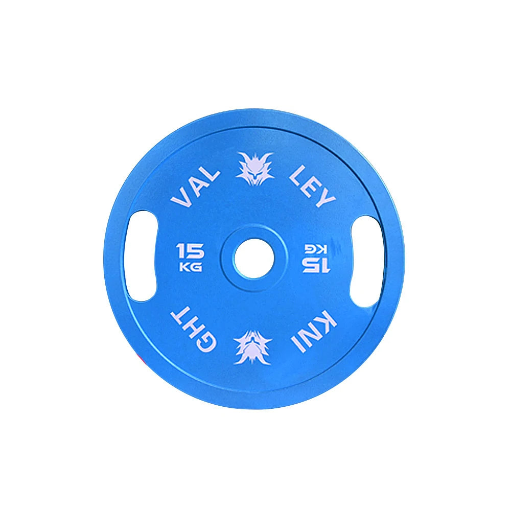 FITPRO Dual-Finish Weight Plate - 15kg, Chrome & Matte Texture, Ergonomic Grip Handles - Blue