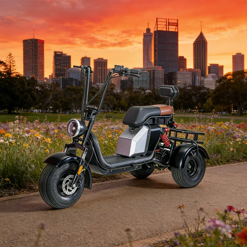 GLIDER HALLEY MY 718-3 1000W 60V 20AH Lithium Battery Three Wheels Electric Motorbike/Motorcycle/Scooter - Black Cruise at 25km/h - Unlock More Power (Details Inside)*