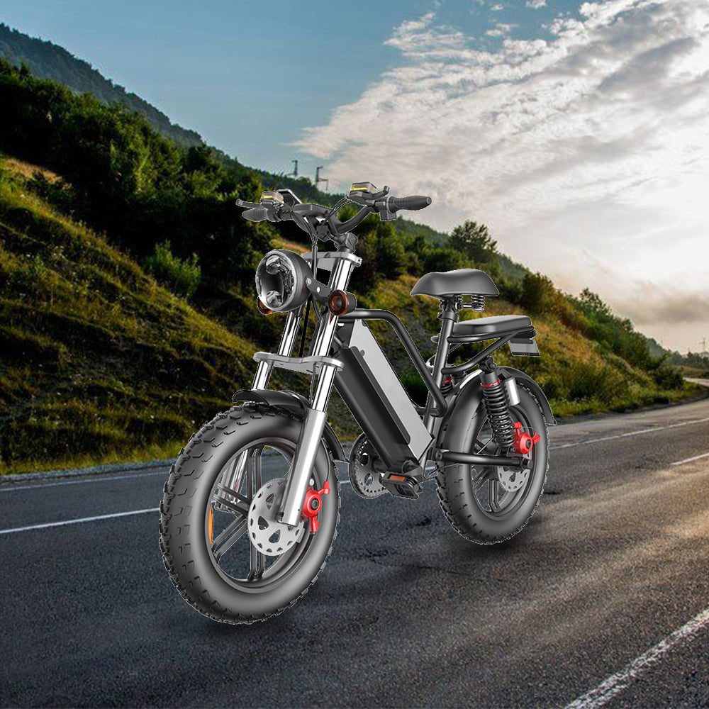 VOLTUS D70 48V 750W 20Ah 20.4 Inches Electric Bike Rekote Alarm