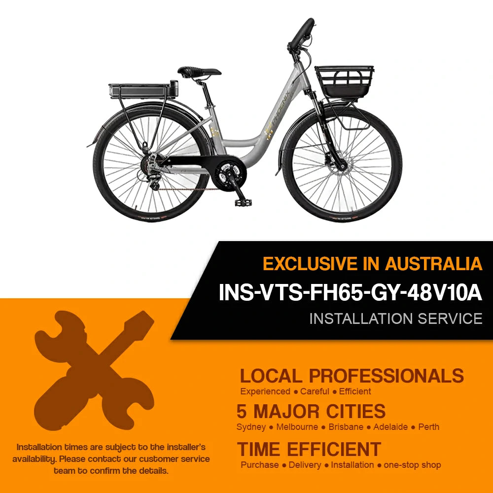 Installation Service For : VTS-FH65-GY-48V10A