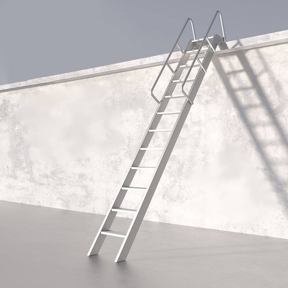 GROVIA 7/ 9/ 12/15-step Aluminum Alloy Ladder Household Stairs - Silver