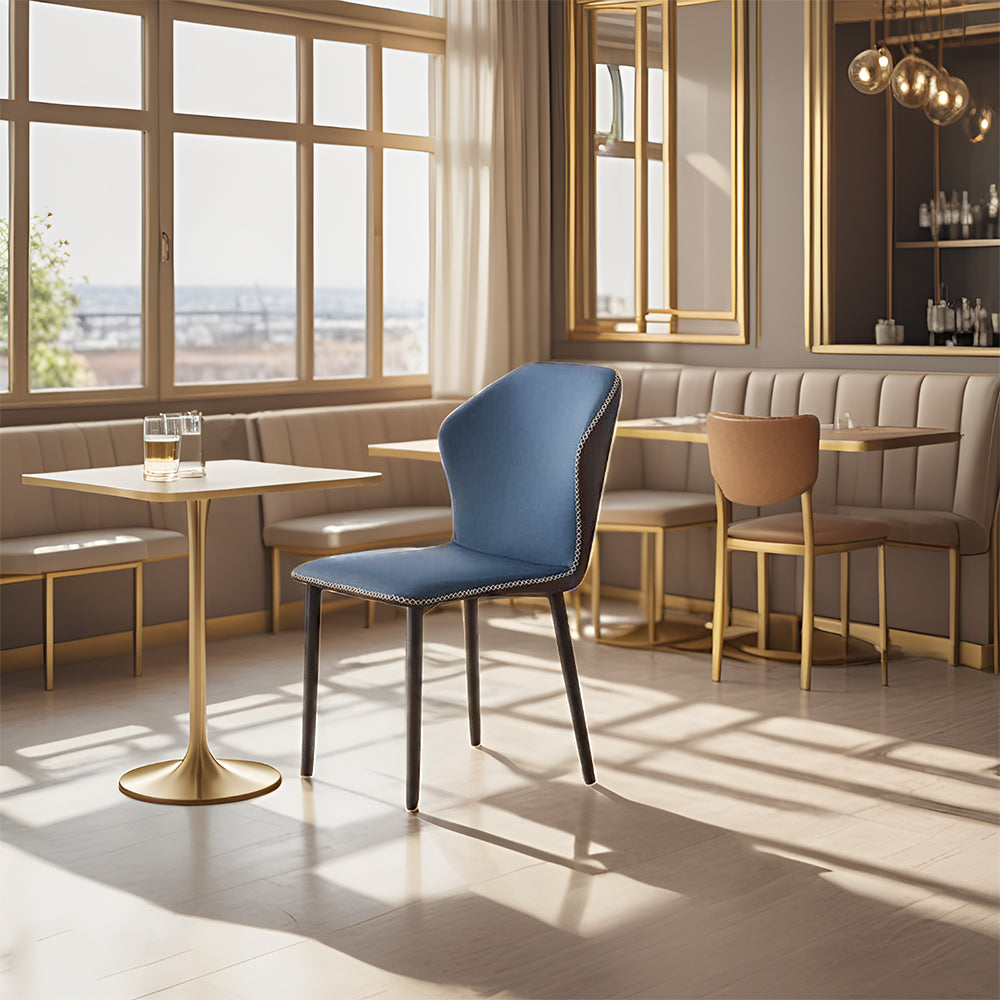 LIVARA DC1003 Modern Light Luxury Style Dining Chair Carbon Steel Legs