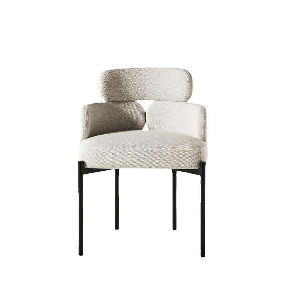 LIVARA DC1057 Simple and Stylish Dining Chair Carbon Steel Legs