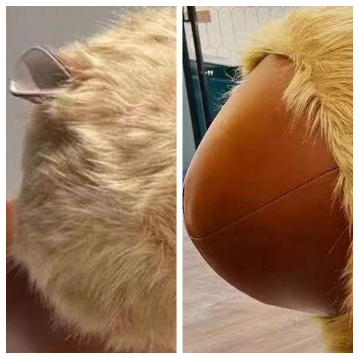 LIVARA EC1170 Cartoon Animal Waxed Leather Solid Wood Leisure Chair