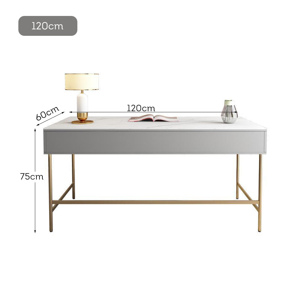 LUXORA WD1011 100/120/140/160cm Length Office Desk Stainless Steel Legs