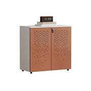 LIVARA 2 Door Low Storage Cabinet with Modern Office Organizer Design -Brown