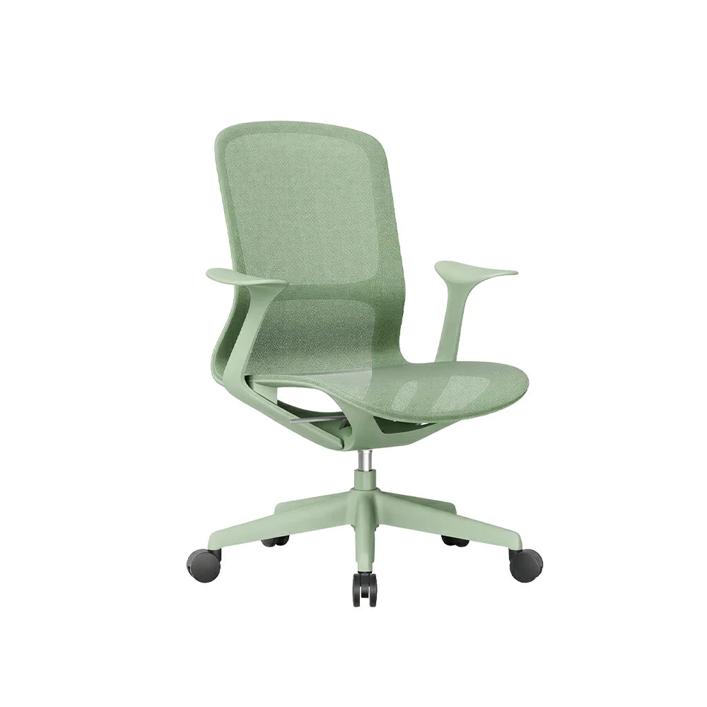 LIVARA Ergonomic Mesh Office Chair Fixed Armrests Comfortable Computer Chair for Study Room Home Office - Green