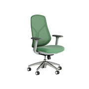 LIVARA  Ergonomic Mesh Office Chair 3D Armrests Multi Lock Reclining Desk Chair Chrome Base for Home Office - Green