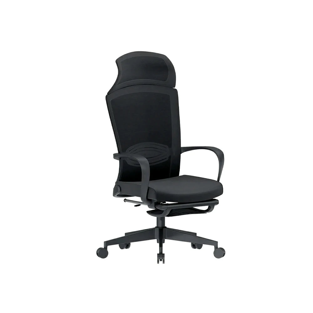 LIVARA  Ergonomic Mesh Office Chair High Back Computer Chair with Adjustable Headrest Nylon Base for Workspace - Black