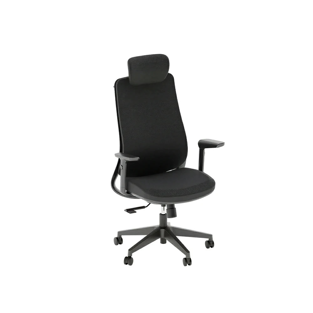 LIVARA  High Back Ergonomic Mesh Office Chair Adjustable Armrests Self Weight Base Computer Chair - Black