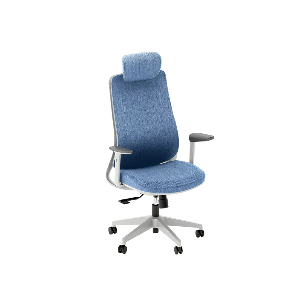 LIVARA  High Back Ergonomic Mesh Office Chair Adjustable Armrests Self Weight Base Computer Chair - Blue