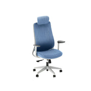 LIVARA  High Back Ergonomic Mesh Office Chair Adjustable Armrests Self Weight Base Computer Chair - Blue