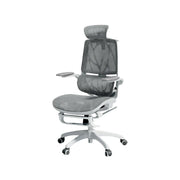 LIVARA Ergonomic Mesh Office Chair Reclining Chair with Footrest 4D Armrests Lumbar Support - Grey