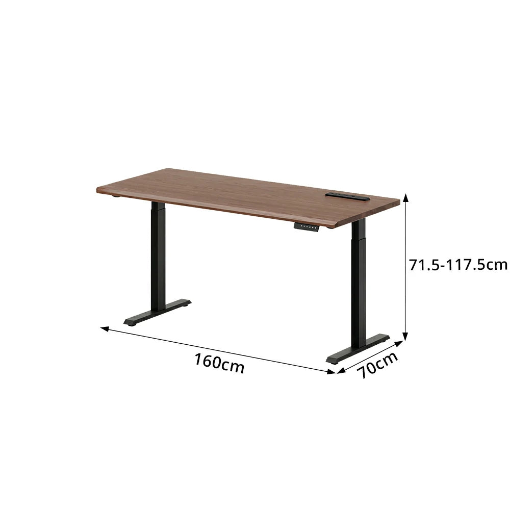 LIVARA Electric Standing Desk 140/160cm Solid Wood Height Adjustable Gaming & Office Table for Study Bedroom & Workspace - Walnut