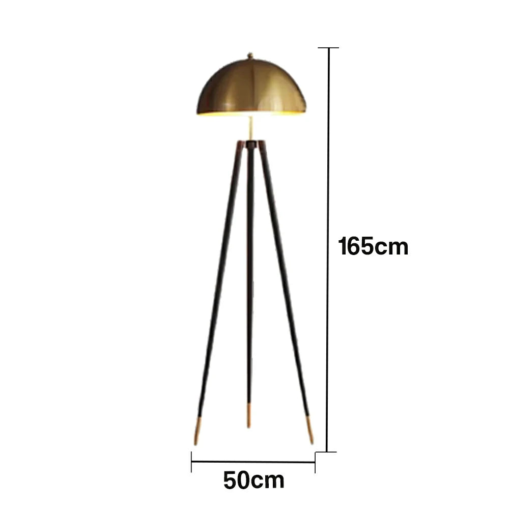 LIVARA XS-14 Floor Lamp with Soft Ambient Lighting Iron Frame and Stable Base for Modern Home Decor