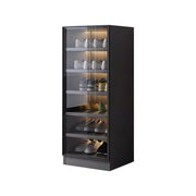 LIVARA 40/80cm Shoe Cabinet - Push Open Storage Cabinet with Adjustable Shelves, Tempered Glass Panels & Aluminium Alloy Frame